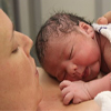 Fertility Baby Sahan Fertility Baby Sahan